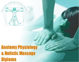 Anatomy Physiology & Holistic Massage Diploma